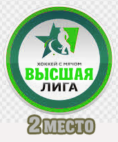 2 место в турнире Бенди 2019/20 высшая лига