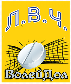 второе место ЛВЧ-2023
Лига Волейбола ЧЛ