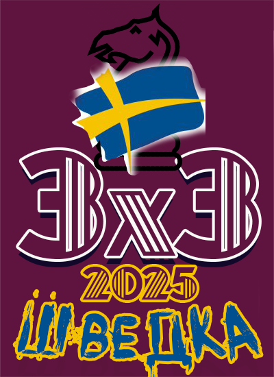 II место 
Шведка
3х3 (2025)