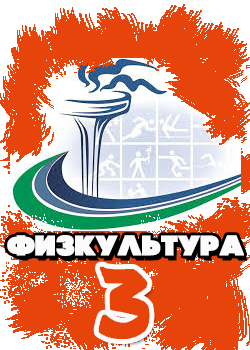 3 место в турнире 